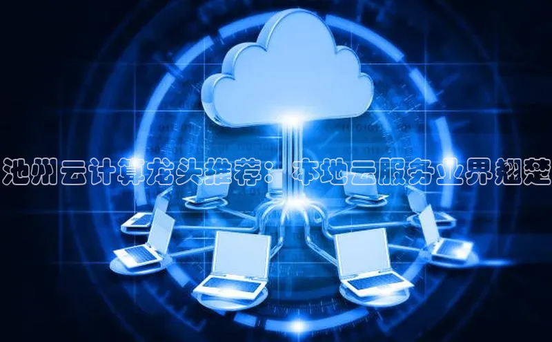 EON4官网百度识图池州云计算龙头推荐：本地云服务业界翘楚