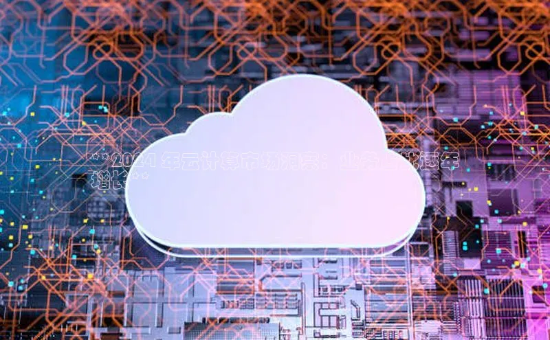 意昂4代理彩讯股份**2024 年云计算市场洞察：业务占比逐年
增长**