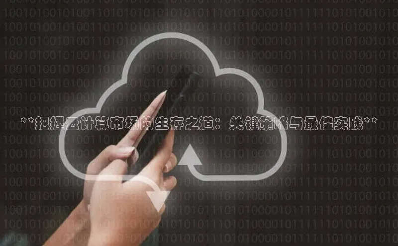 EON体育4巴美列捷福**把握云计算市场的生存之道：关键策略与最佳实践**