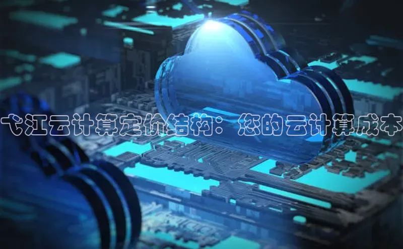 EON4官网美团弋江云计算定价结构：您的云计算成本