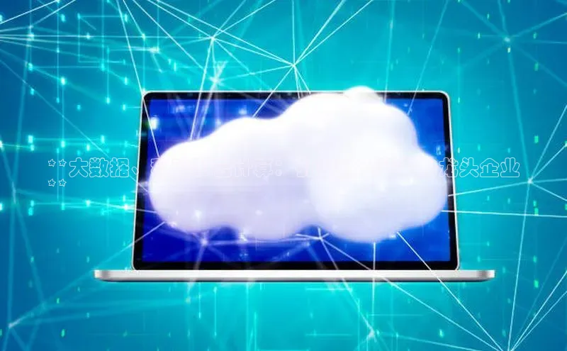 EON4官网美团**大数据、移动和云计算：引领数字转型的龙头企业
**