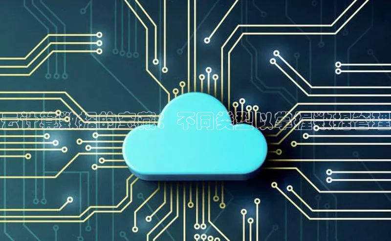 EON4官网美团云计算数据的宝藏：不同类型以掌握数据管理