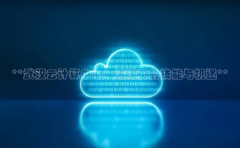 意昂4招商百度安全社区**武汉云计算中心：清洁工的技能与机遇**