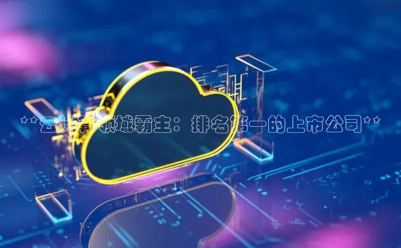 意昂4京东**云计算领域霸主：排名第一的上市公司**