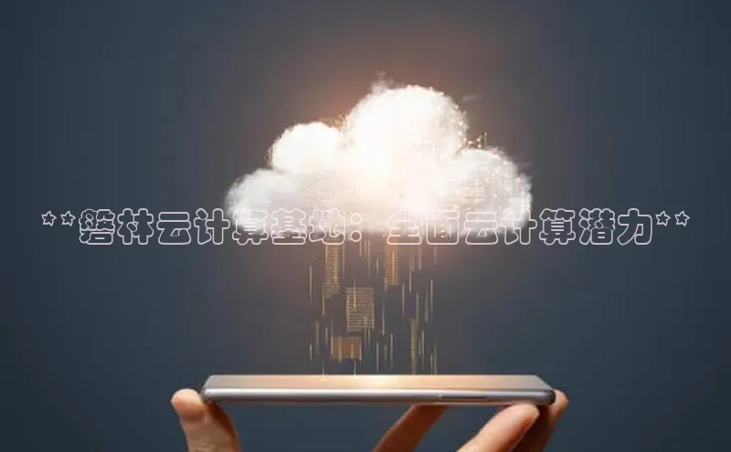 EON体育4百度人工翻译**磐林云计算基地：全面云计算潜力**