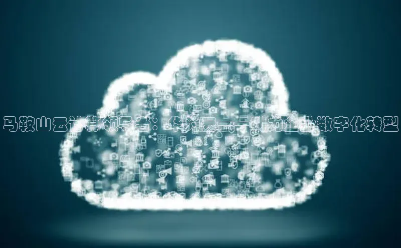 EON4ARGA公司马鞍山云计算领导者：华为云——助力企业数字化转型