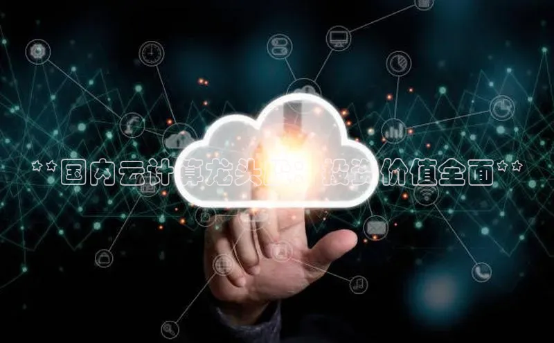 意昂体育4小米**国内云计算龙头股：投资价值全面**