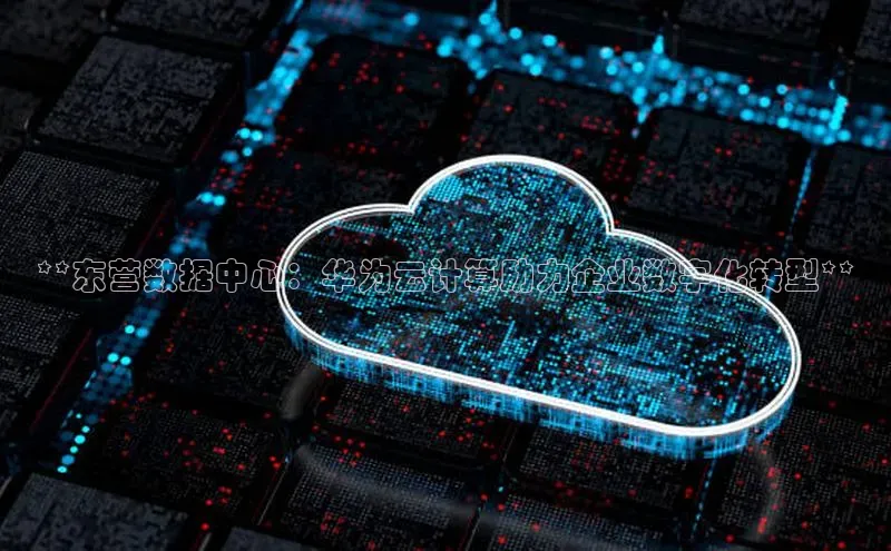 意昂体育4登录百度信誉**东营数据中心：华为云计算助力企业数字化转型**